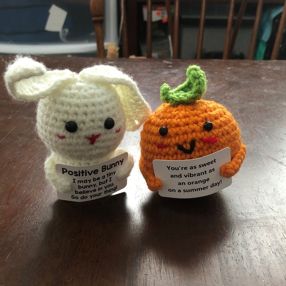 🥤 Crocheted Bunny and Orange with An Inspirational Signs Set
